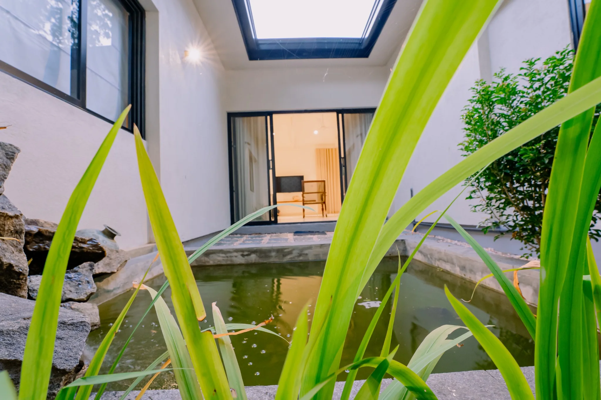 Indoor courtyard fish pond